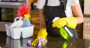 free housekeeping training